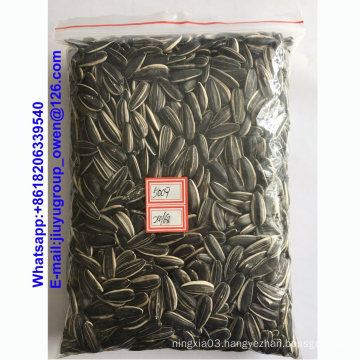 Food Grade Sunflower Seeds 5009